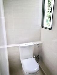 Adam Place (D11), Apartment #538732801